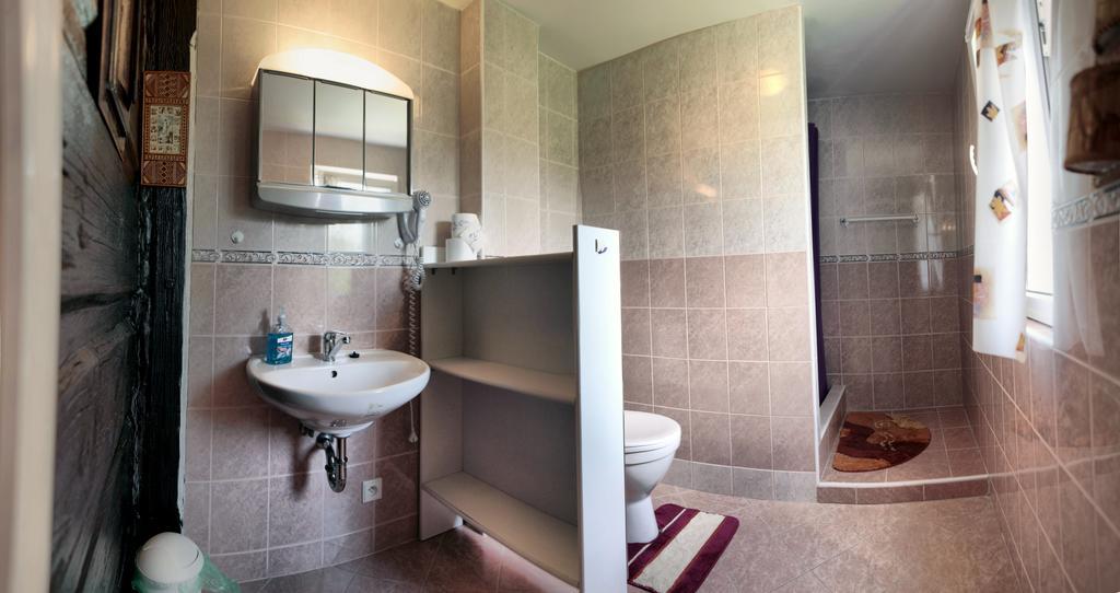 Pension U Stehliku Ruzova Room photo